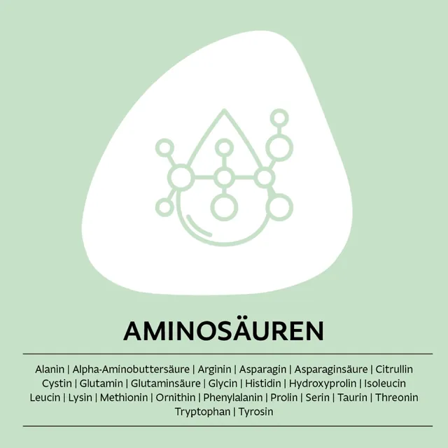 Produktgrafik der Aminosäuren-Blutanalyse